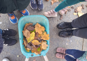 Wspólne szukanie materiałów do tworzenia mandali