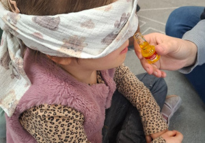 Zmysł węchu - niezwykle potrzebny w codziennym życiu