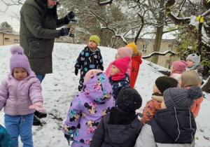 Wkładamy nasionka do karmniczka