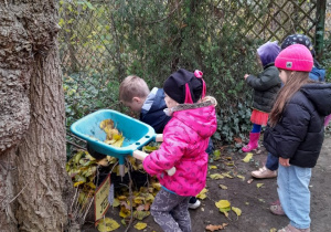 Razem ze wszystkimi dziećmi budowaliśmy dom dla jeżyka, który mamy nadzieję, zamieszka w nim na zimę