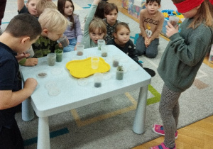 Zapachy - zabawa badawcza