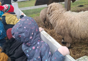 Na Farmie Dzięcioły mogły poznać mieszkańców i dowiedzieć się o nich ciekawostek