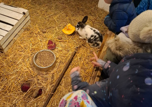 Zwiedzanie gospodarstwa