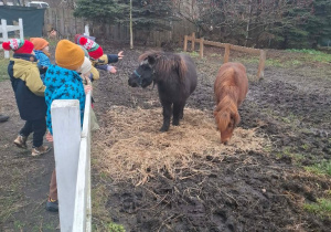 Poznajemy zwyczaje zwierząt