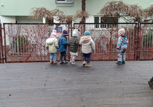 "Co tam jest?"- obserwacje przyrodnicze