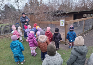 Idziemy z wizytą do gęsi