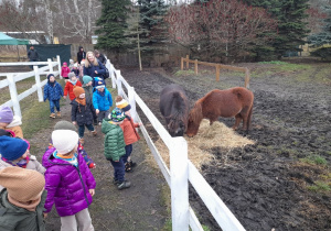 A na miejscu czekało na nas wiele atrakcji - piękne, wiejskie zwierzęta