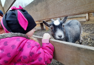 które witały nas z radością i delikatnością