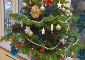 Nasze piękne drzewko...