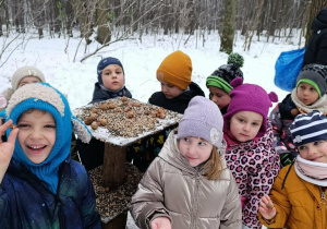 Dokarmianie ptaszków podczas spaceru