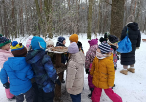 Dzięcioły dbają o leśnych sąsiadów w zimę