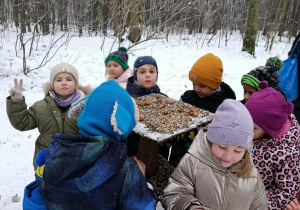 Dzięcioły podczas spaceru w pobliskim lesie