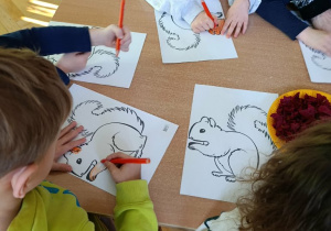 Obchody Dnia Wiewiórki w grupie III