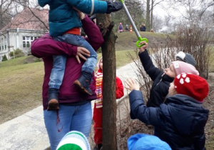 Zagadka od Niespodzianki na drzewie