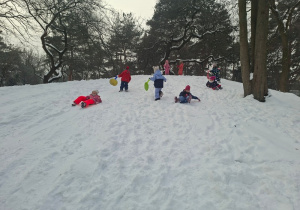 "Z górki na pazurki" - zabawy na śniegu
