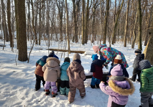 Pomagamy zwierzętom przetrwać zimę