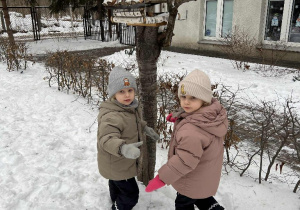 Dokarmiamy ptaki, aby pomóc im w te zimne dni
