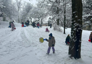 Nasz piękny ogród dostarcza nam wielu wspaniałych radości
