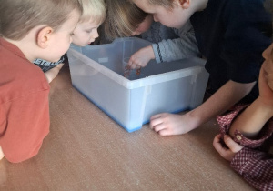 Odkrywanie podwodnych dinozaurów