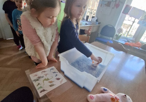 Odszukaj co kryje się pod wodą - zabawy z dinozaurami