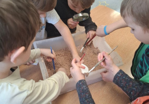 Paleontolodzy w akcji czyli poszukiwania dinozaurów ciąg dalszy