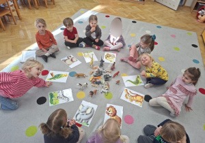 "Wild animals" - zajecia dydaktyczne