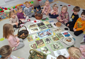 Smakołyki dla zwierząt - zajęcia dydaktyczne