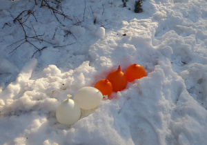 Ukryliśmy je w zimowej zamrażalce i pozostawiliśmy na całą noc