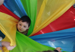 Celebrujemy urodziny Kosmy