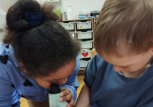 Obserwacje mikroskopowe