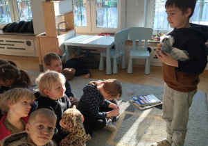 Prezentacja o Misiu Koala