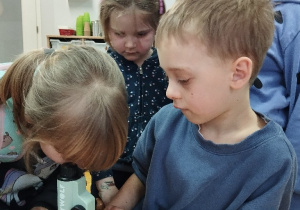 Zabawa z mikroskopem