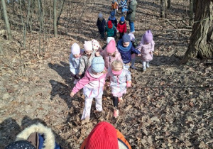 Spacer do Lasku Lindego