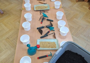 Zajęcia przyrodnicze - Poznajemy narzędzia ogrodnicze i siejemy owies