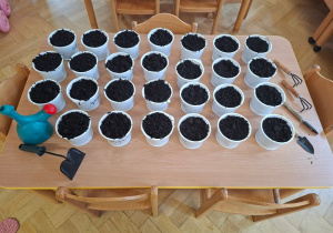 Prezentacja posianych owsów