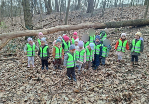 Swobodne harce w Lasku Lindego