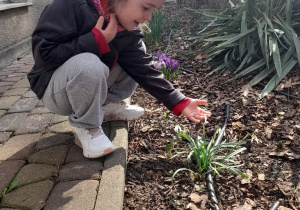 A nasz piękny ogród po raz kolejny nas zachwyca - pod naszym czujnym okiem pojawiły się pierwsze oznaki wiosny - zachwycamy się perwszymi kwiatami