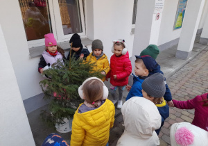 W naszym ogrodzie pojawiło się nowe drzewko - choinka podarowana przez Rodziców Adasia - dziękujemy! będziemy ją doglądać i podziwiać jak rośnie