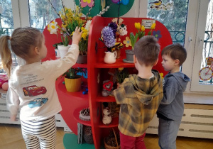 Nasz wiosenny kącik przyrody nabrał wyjątkowych kolorów i zapachów, dzięki naszym wspaniałym Rodzicom, którzy kupili dla nas wiosenne kwiatuszki. Pozwala to nam rozwijać naszą przyrodniczą wiedzę, dzięki obserwacją i rozmową.