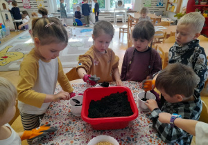 Przygotowania do Wielkanocy w Sroczkach to czas kolejnych wspaniałych aktywności - tym razem my w roli ogrodników - siejemy owies