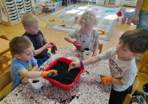 Dzielnie siejemy i czekamy na owoce naszej pracy