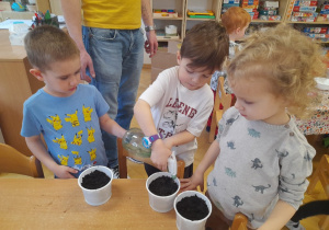 Jeszcze tylko spryskać, postawić na Słońcu i czekać na efekt