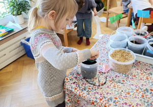 Dzięcioły i zajęcia ogrodnicze