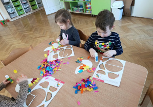 Tydzień z egzotycznymi zwierzakami zaczynamy od kolorowych papug