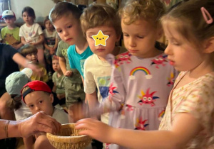 oglądamy ziarna, które zaraz zmielimy na mąkę