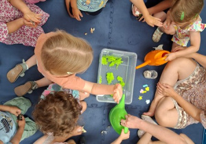 Zabawy sensoryczne - Przystanek Twórczość cz 1