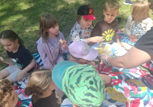 Klasa w terenie - zadanie pt. Wspólny piknik integrujący