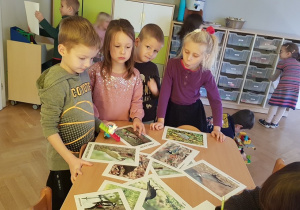 Czwórka dzieci stoi wokół stolika, na którym leżą zdjęcia ptaków